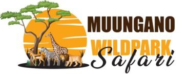 Muungano Wild Park Safari
