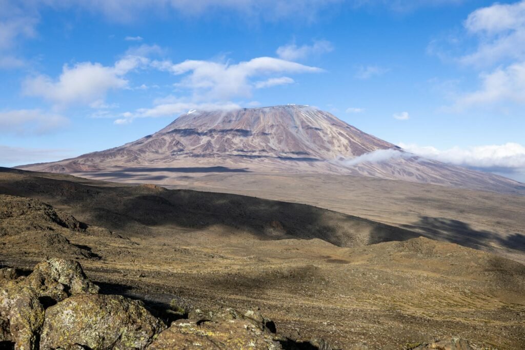 muungano-wild-park-safari-mt-kilimanjaro